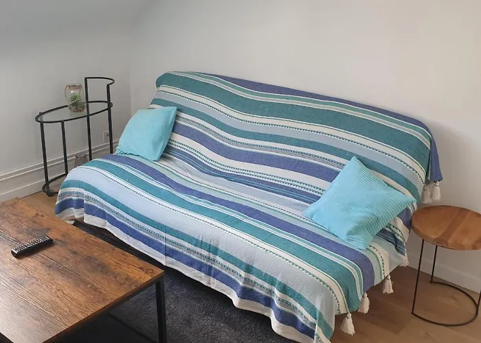 Bel Appartement F2 Centre Ville